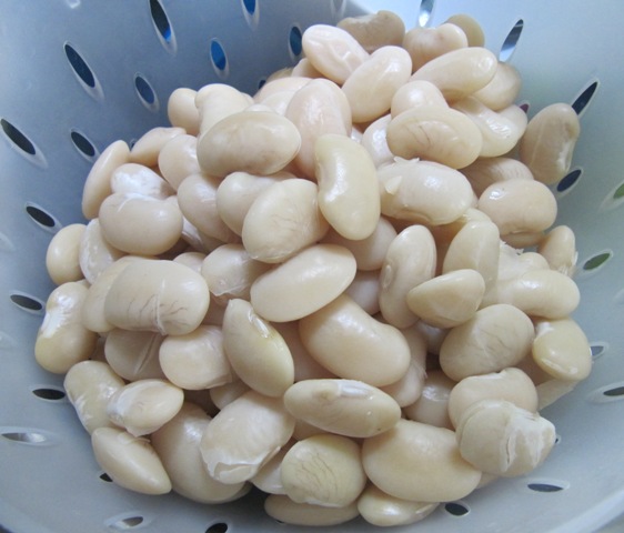 Giant Peruvian Lima Beans