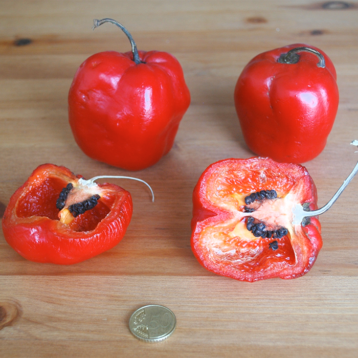 2 pieces of Rocoto pepper one of the halfed showing black seeds