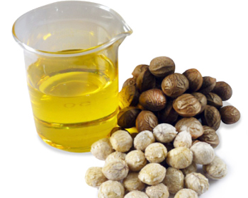 container with sacha inchi oil and sacha inchi nuts peeled and not peeled