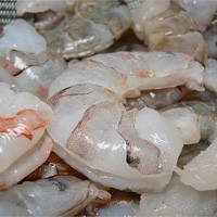 raw whit Texas bay u-13 shrimp peeled